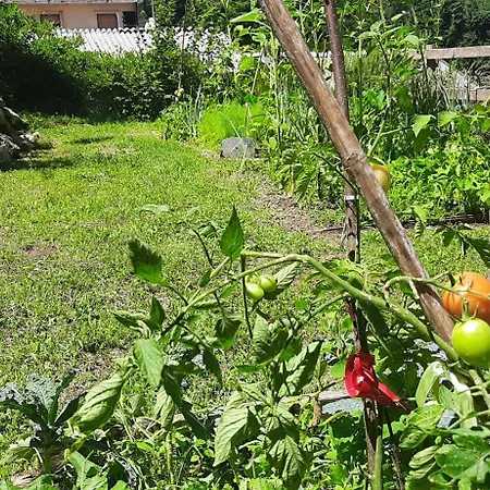 Cascina
