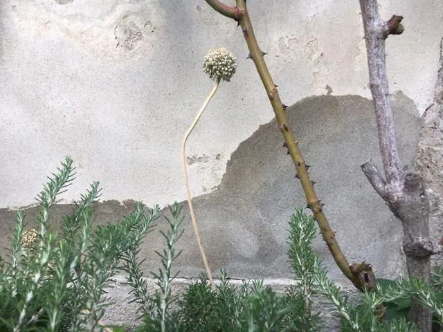 بيت للعطل Cascina Montorfano